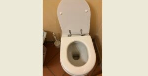 MATTARELLA L’INVERITIERO